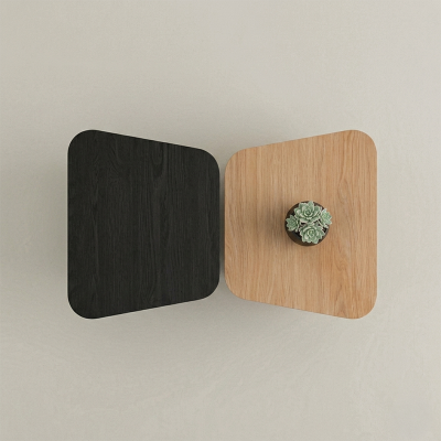 Set Matisse ratonas pedestal negro natural | Nuevo — MoOd DECO